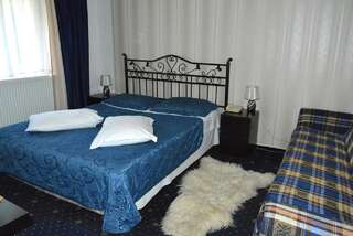 Отель Hotel Green Palace Синая Двухместный номер с 1 кроватью-5
