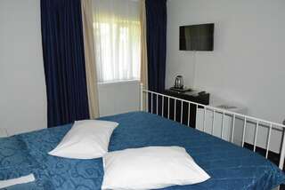 Отель Hotel Green Palace Синая Двухместный номер с 1 кроватью-6