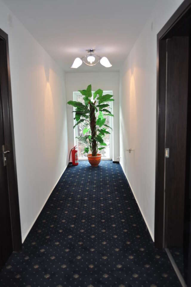 Отель Hotel Green Palace Синая-42